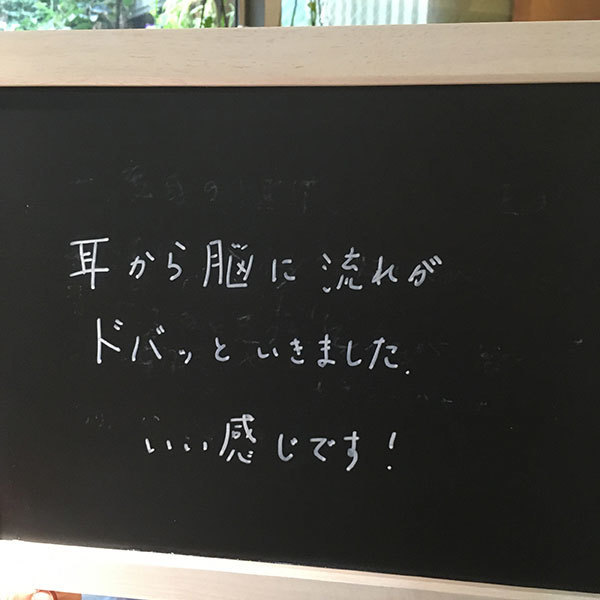 耳ばり　ASP鍼　チタン鍼　BFA戦場鍼　口コミ・感想・レビュー・体験談