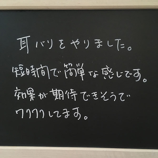 耳ばり　ASP鍼　チタン鍼　BFA戦場鍼　口コミ・感想・レビュー・体験談